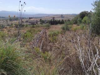 Terreno agricolo in vendita a catania stradale coda volpe