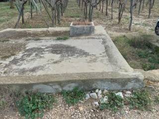 Terreno agricolo in vendita a terlizzi strada comunale della fontana