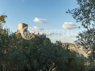 Villa in vendita a castiglione d'orcia via del poggiolo