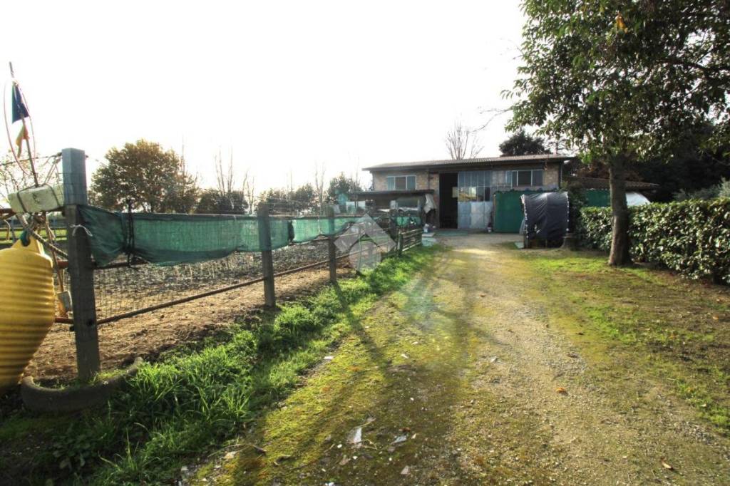 immagine annuncio 4 di 15