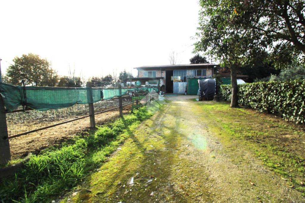 immagine annuncio 11 di 15