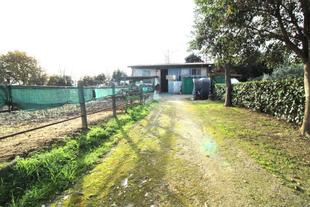 immagine annuncio 13 di 15