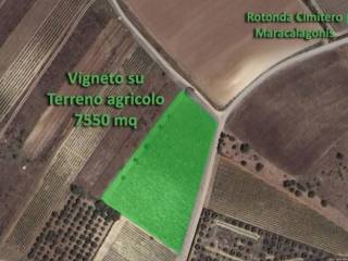 Terreno agricolo in vendita a maracalagonis 