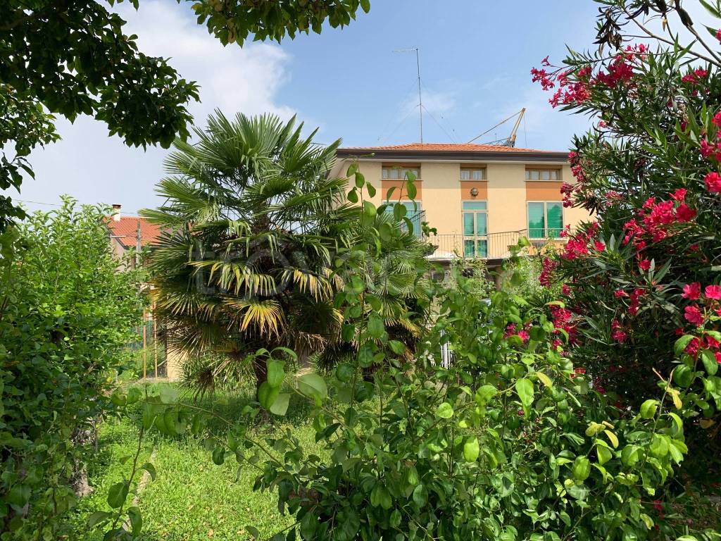 immagine annuncio 8 di 14