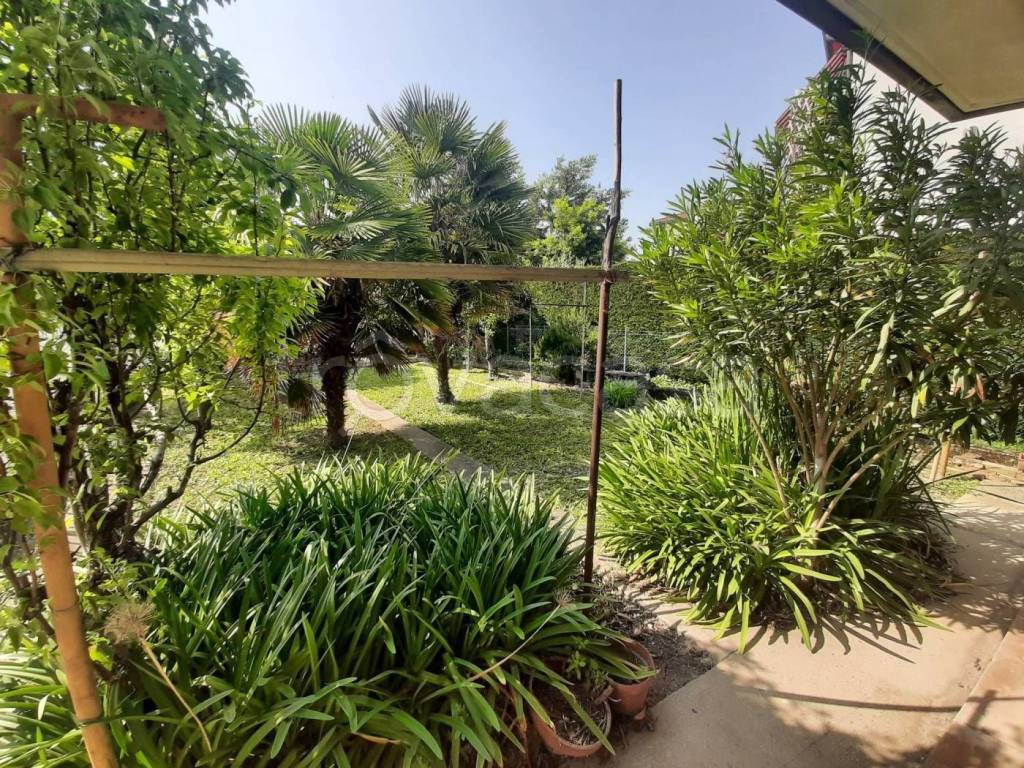 immagine annuncio 9 di 14