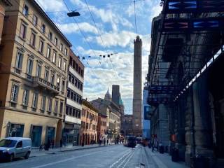 Piante e fiori in vendita a bologna 