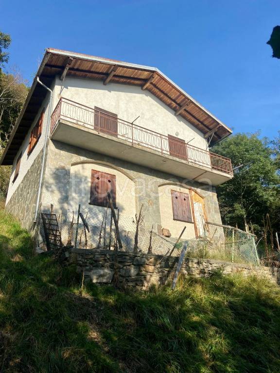 immagine annuncio 5 di 12