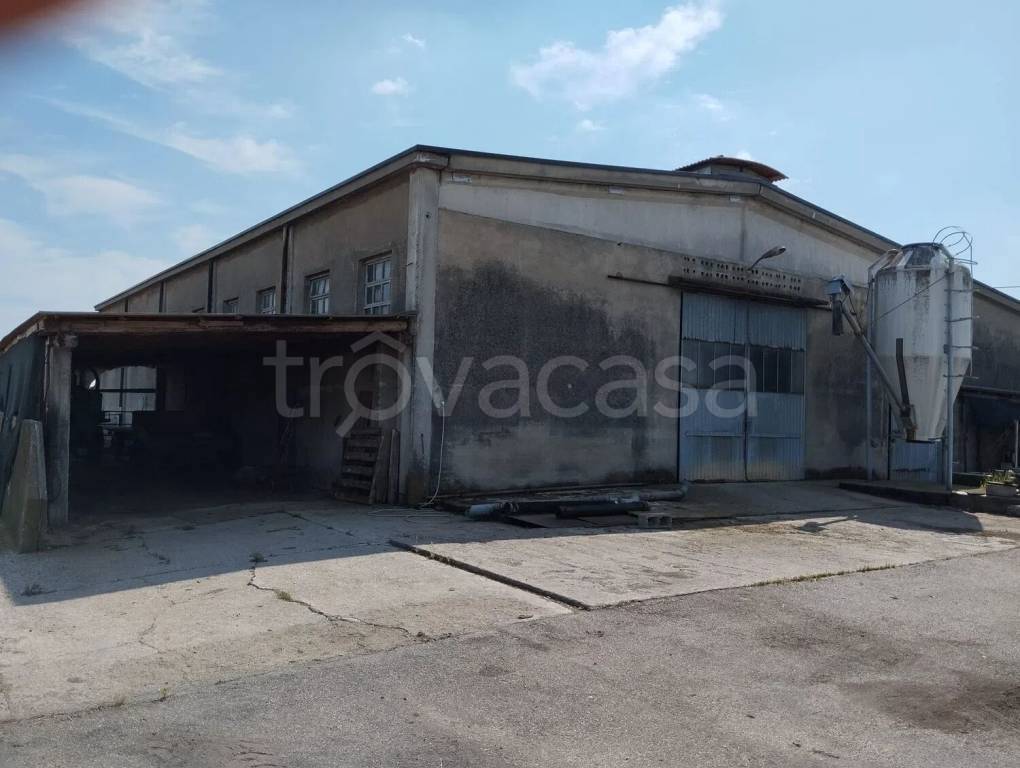 immagine annuncio 5 di 14