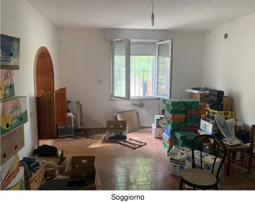 immagine annuncio 4 di 14