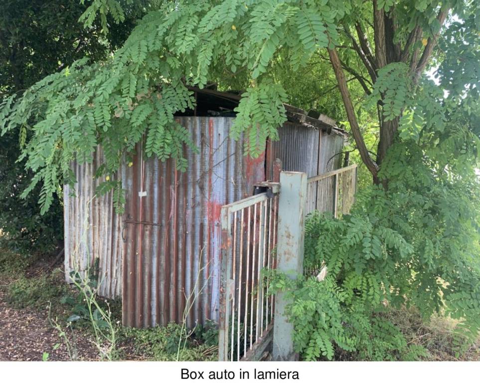 immagine annuncio 12 di 14