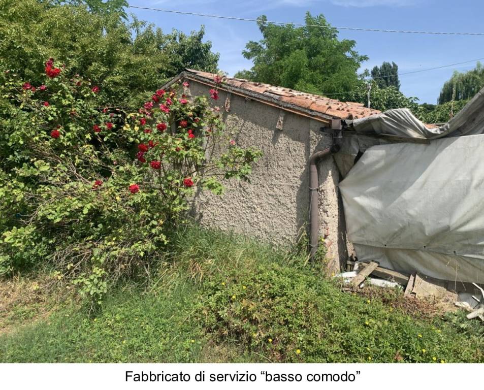 immagine annuncio 13 di 14