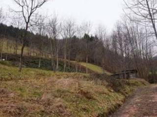 Terreno agricolo all'asta a valli del pasubio via gisbenti