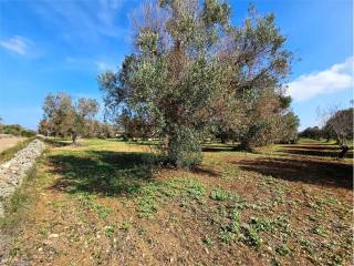 Terreno residenziale in vendita a san vito dei normanni 