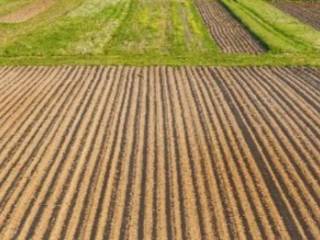 Terreno agricolo in vendita a vigevano 