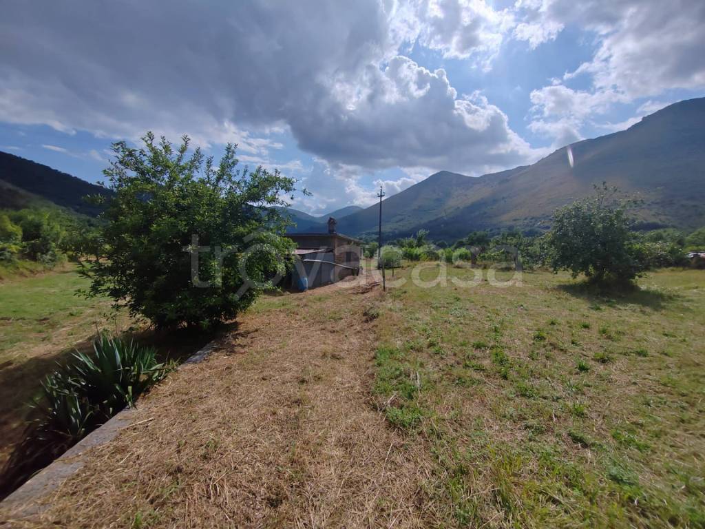 immagine annuncio 2 di 14