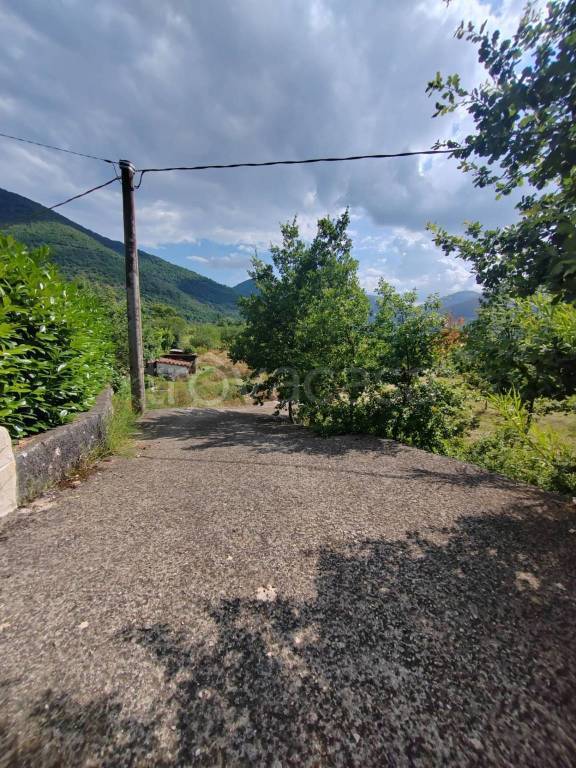 immagine annuncio 5 di 14