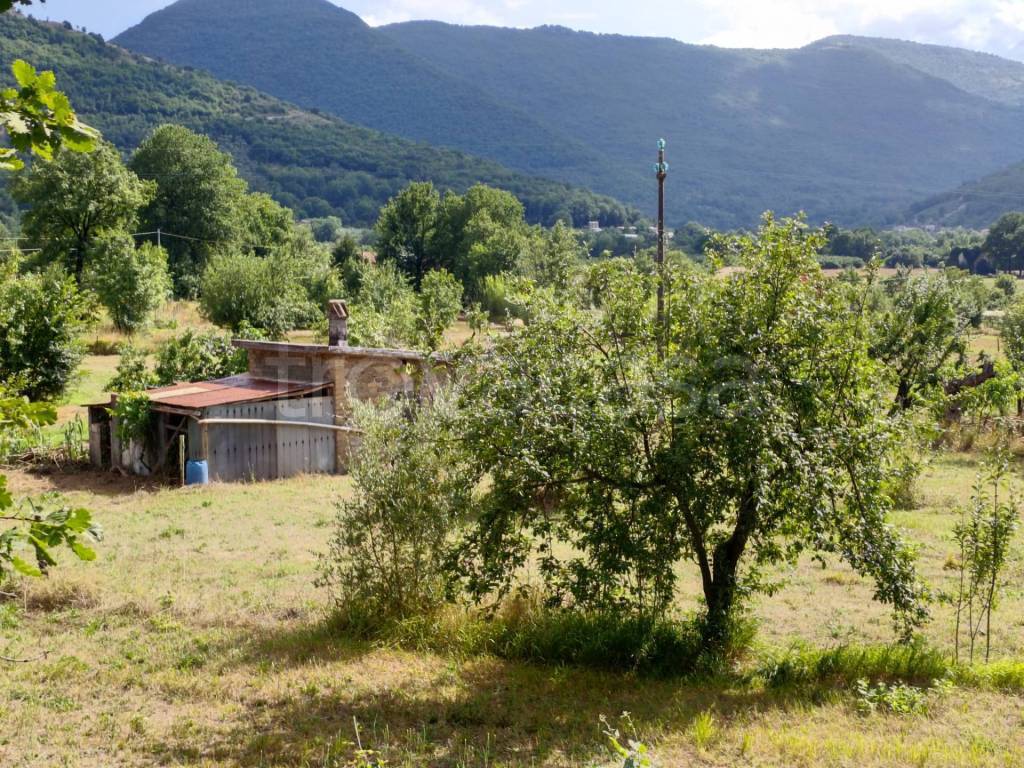 immagine annuncio 6 di 14