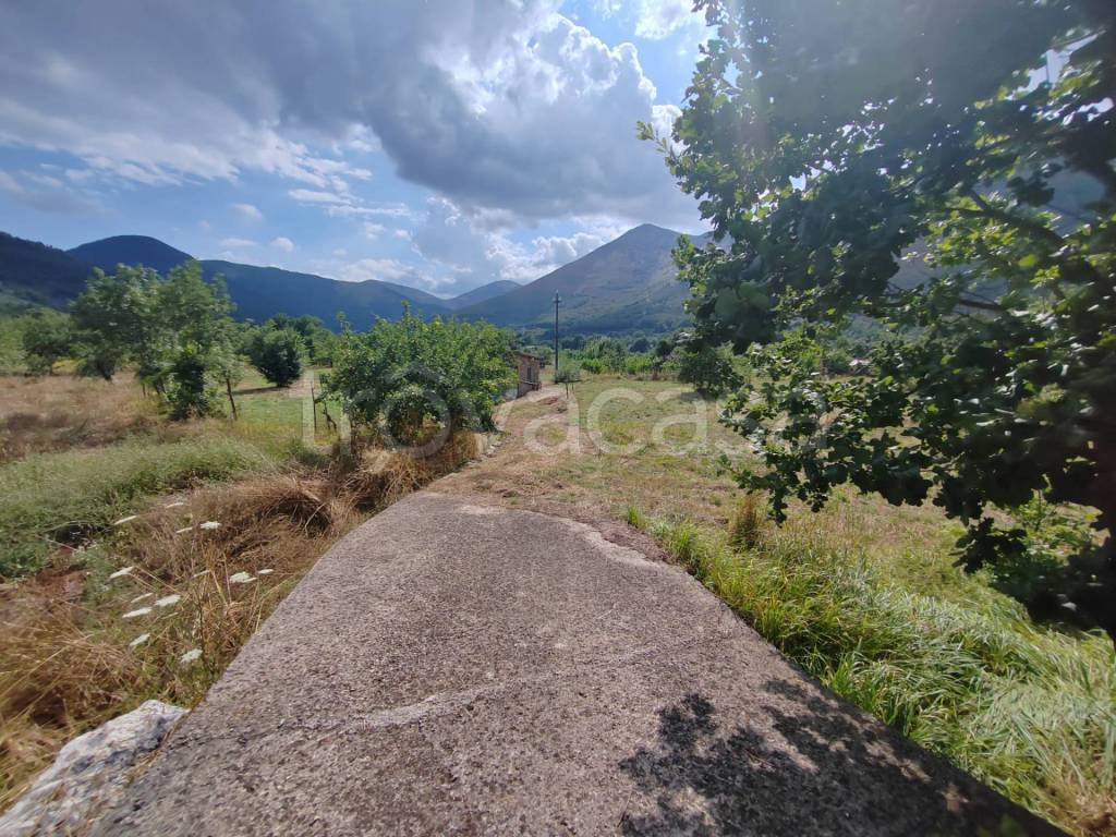 immagine annuncio 7 di 14