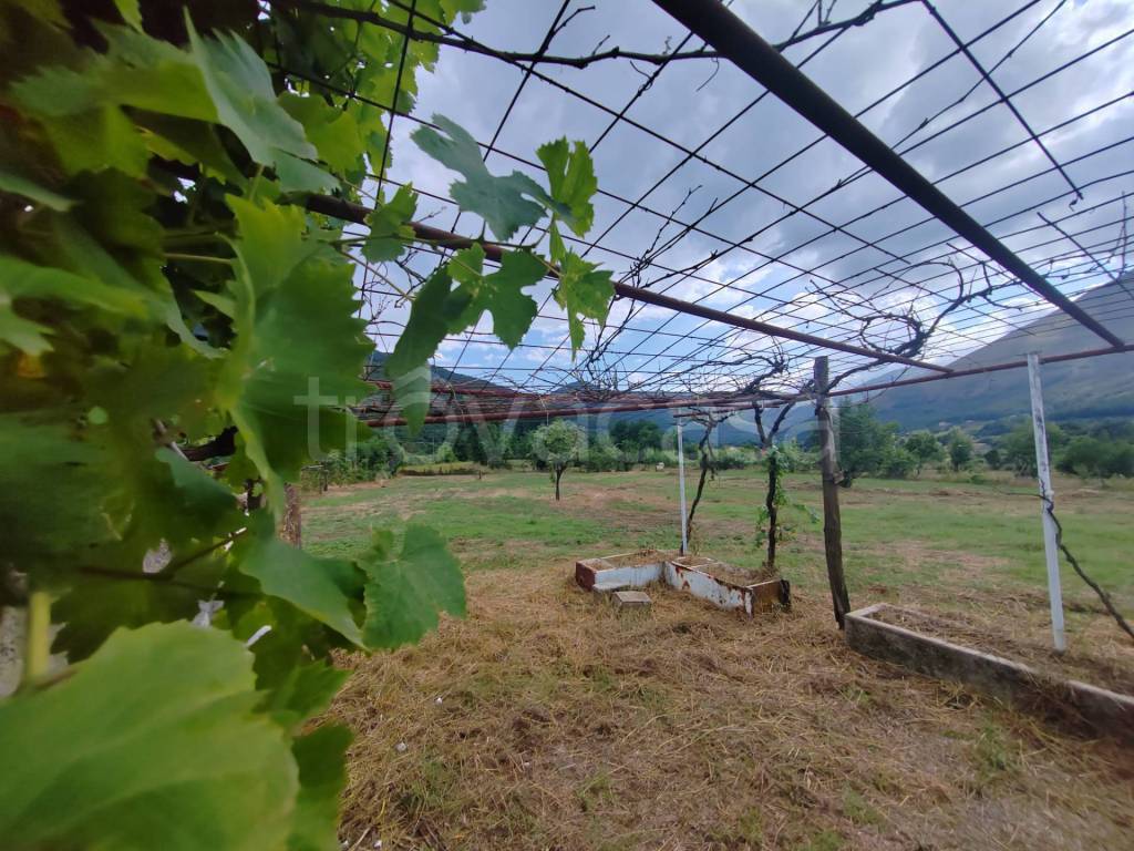 immagine annuncio 8 di 14