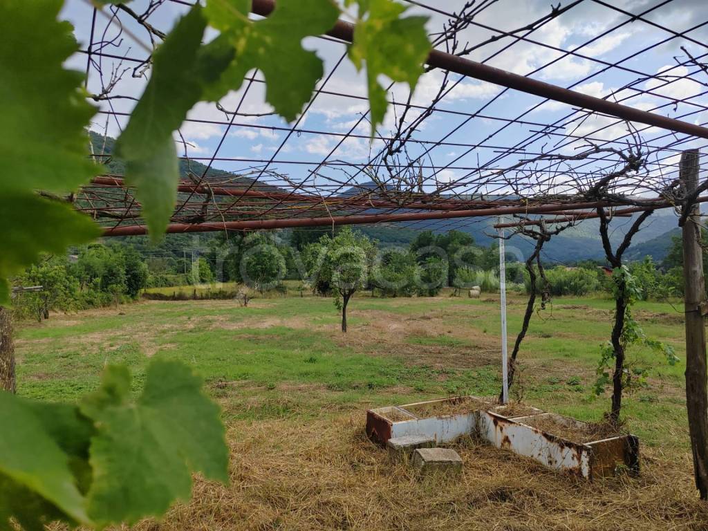 immagine annuncio 9 di 14