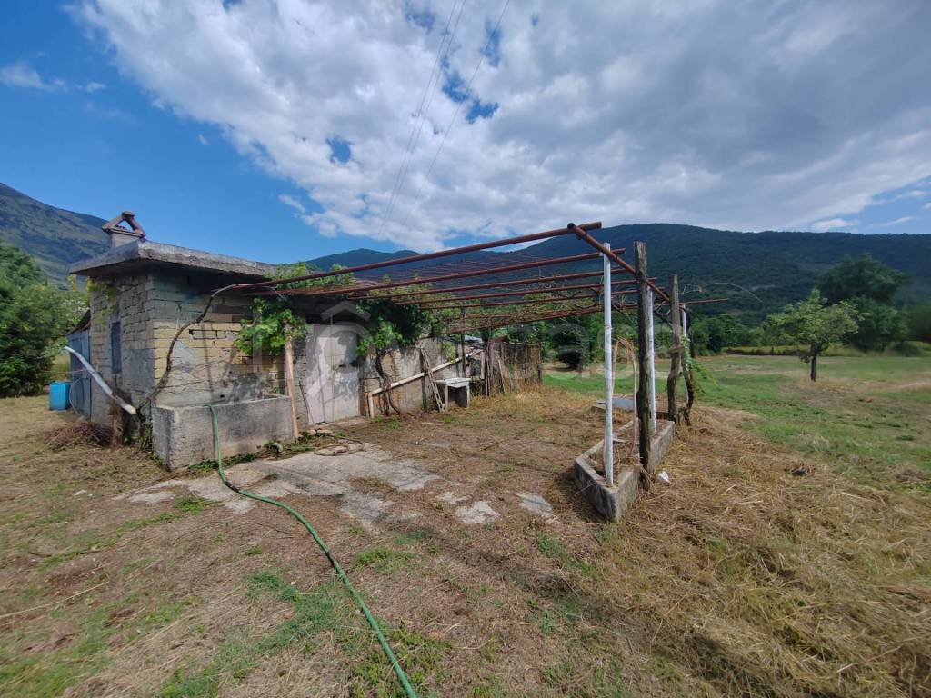 immagine annuncio 11 di 14