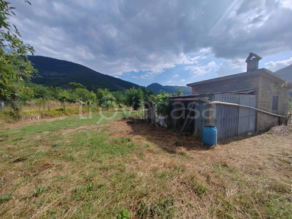 immagine annuncio 12 di 14