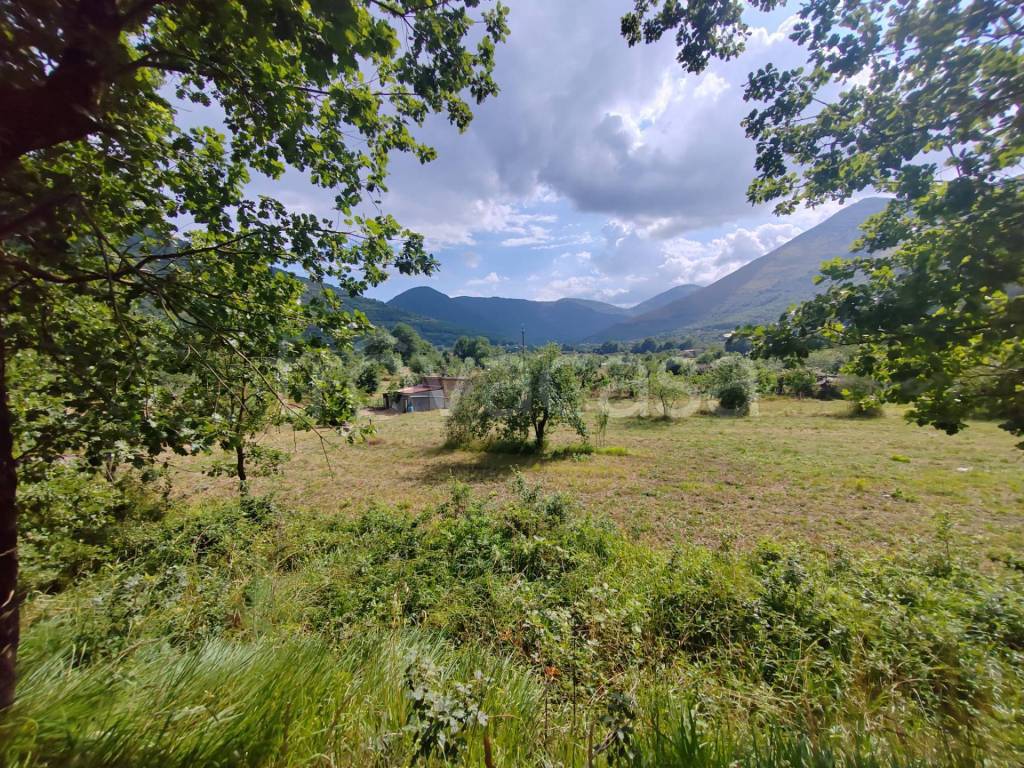 immagine annuncio 13 di 14