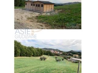 Terreno agricolo all'asta a torricella sicura loc, piano grande