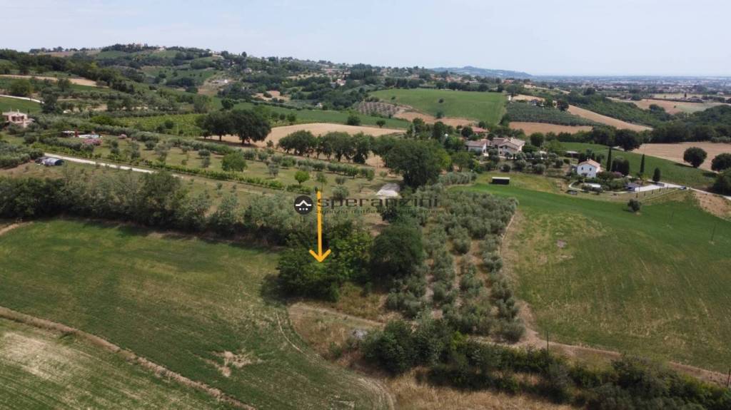 immagine annuncio 4 di 12