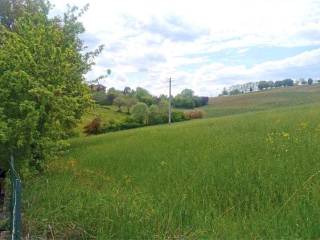 Terreno agricolo all'asta a castelvetro di modena via garibaldi