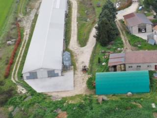 Azienda agricola all'asta a circello contrada casaldianni