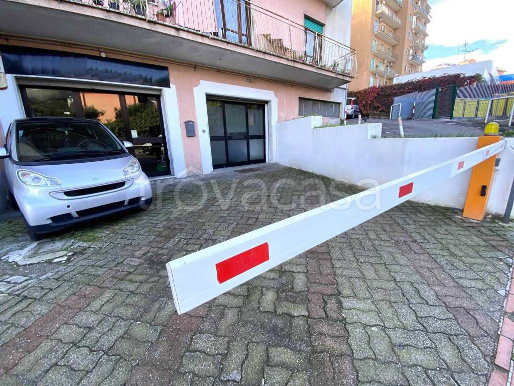 immagine annuncio 1 di 12