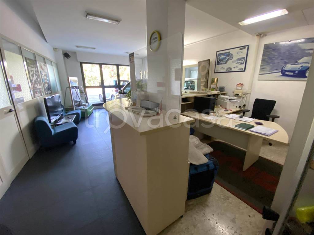 immagine annuncio 3 di 12