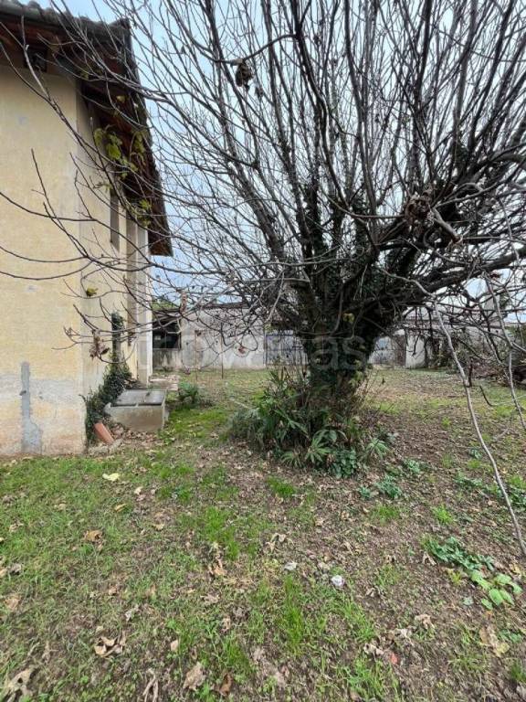 immagine annuncio 4 di 7
