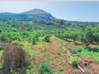 Terreno agricolo all'asta a misilmeri via pietro vitrano