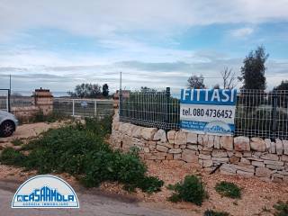 Terreno agricolo in affitto a mola di bari via europa unita