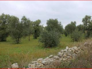 Terreno agricolo all'asta a palo del colle sp180