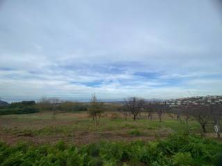 Terreno agricolo in vendita a pozzuoli str. privata monterusso, 1