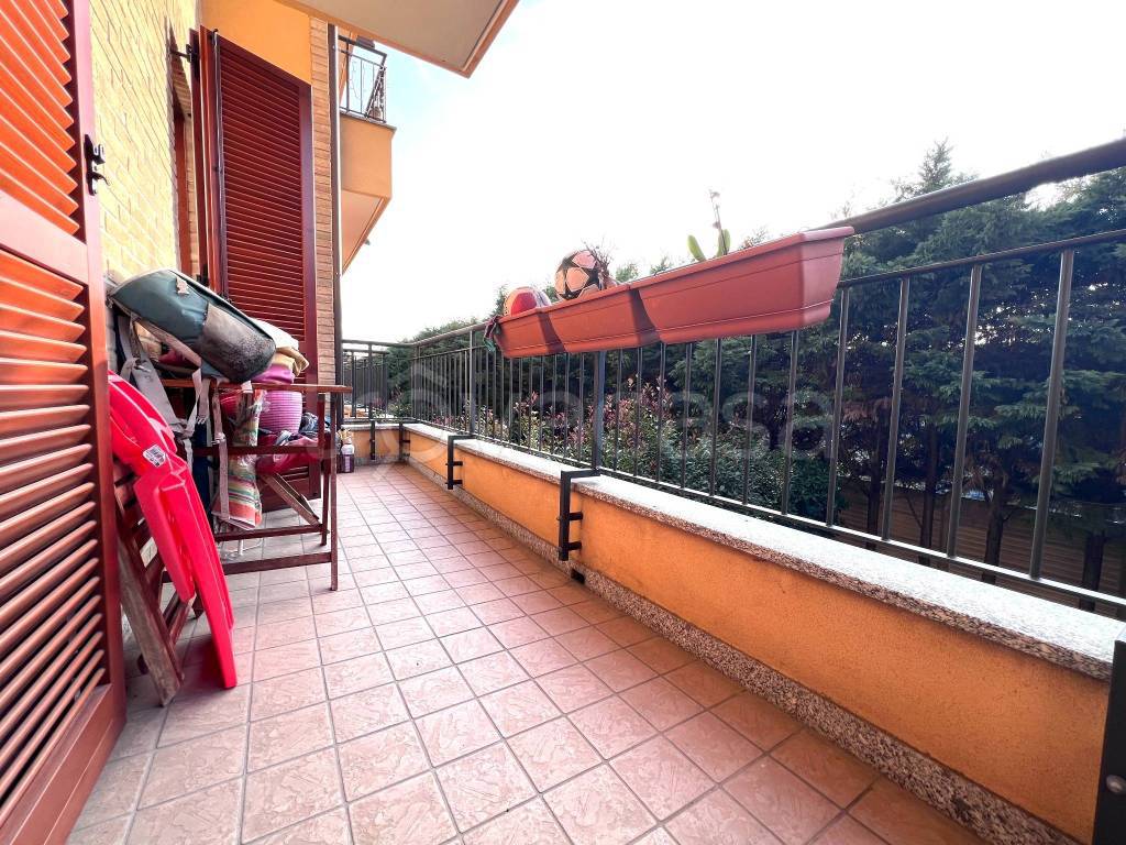 immagine annuncio 11 di 15
