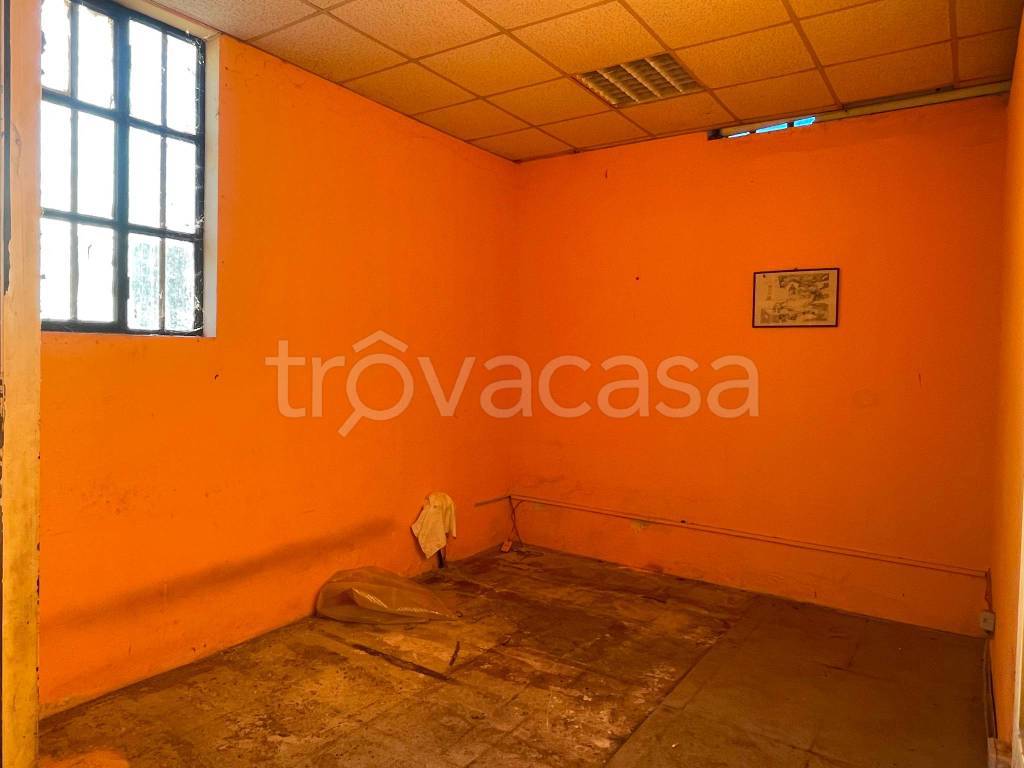 immagine annuncio 9 di 14