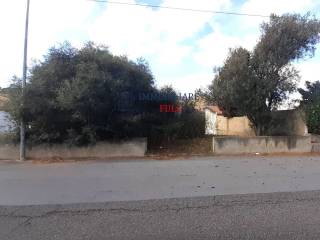 Terreno agricolo in vendita a messina strada provinciale 49