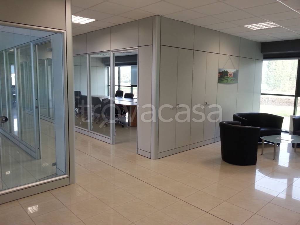 immagine annuncio 2 di 7