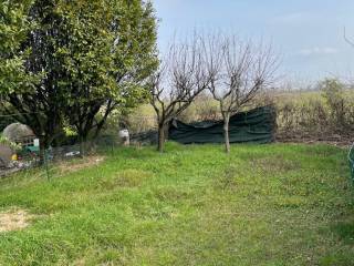 Terreno agricolo in affitto a melegnano via cesare battisti, 5