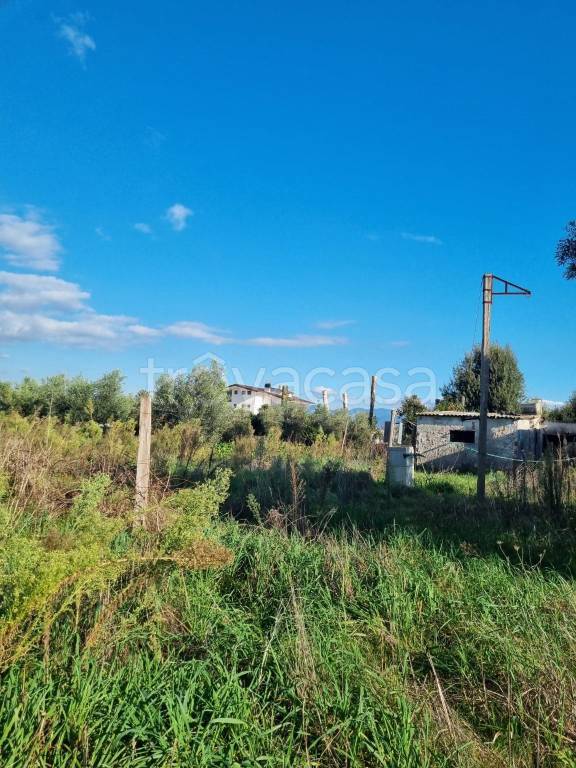immagine annuncio 4 di 14