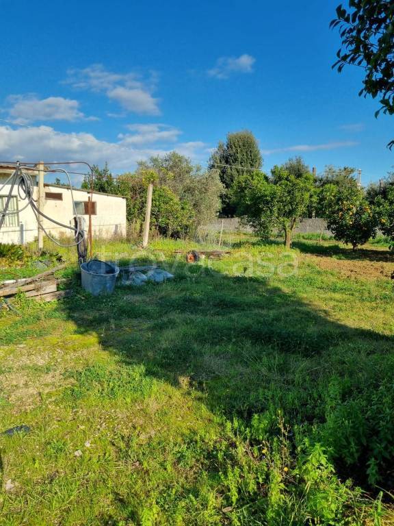immagine annuncio 11 di 14