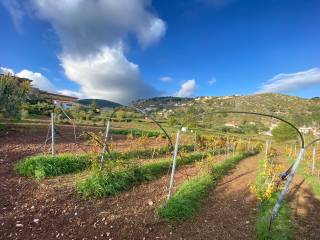 Terreno residenziale in vendita a monreale via caculla