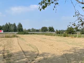 Terreno agricolo in vendita a orta di atella via san salvatore, 20