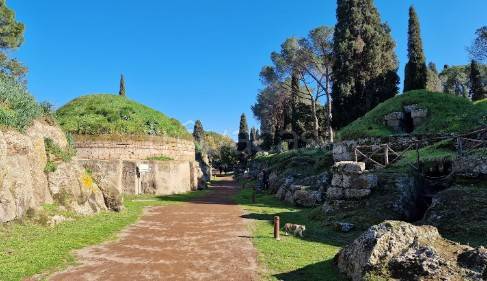 immagine annuncio 8 di 10