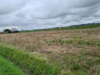 Terreno agricolo all'asta a foiano della chiana via delle farniole