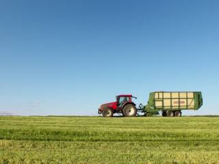 Terreno agricolo in vendita a corbetta via vittorio veneto